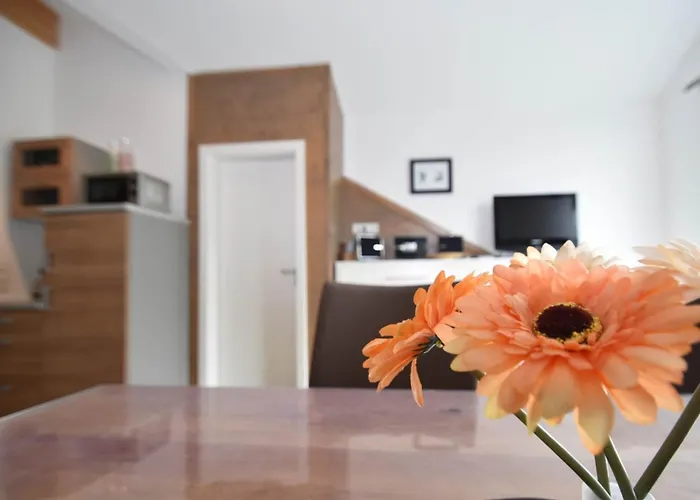 2 Separate Mit Balkon An Der Skipiste 아파트 *